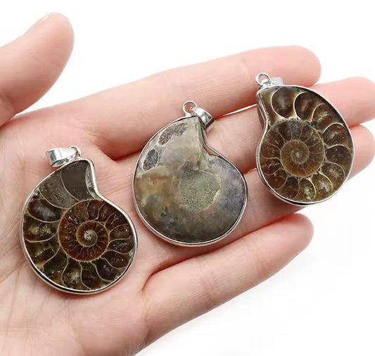 Ammoniet Fossiel Hanger – Eeuwige Wijsheid & Aarding