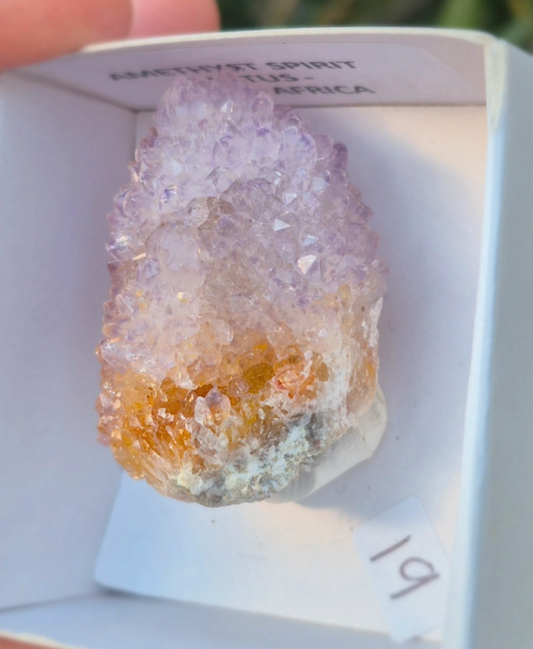 Amethyst Spirit Quartz – Cactus Quartz (Zuid-Afrika) – keuze uit 3 unieke exemplaren