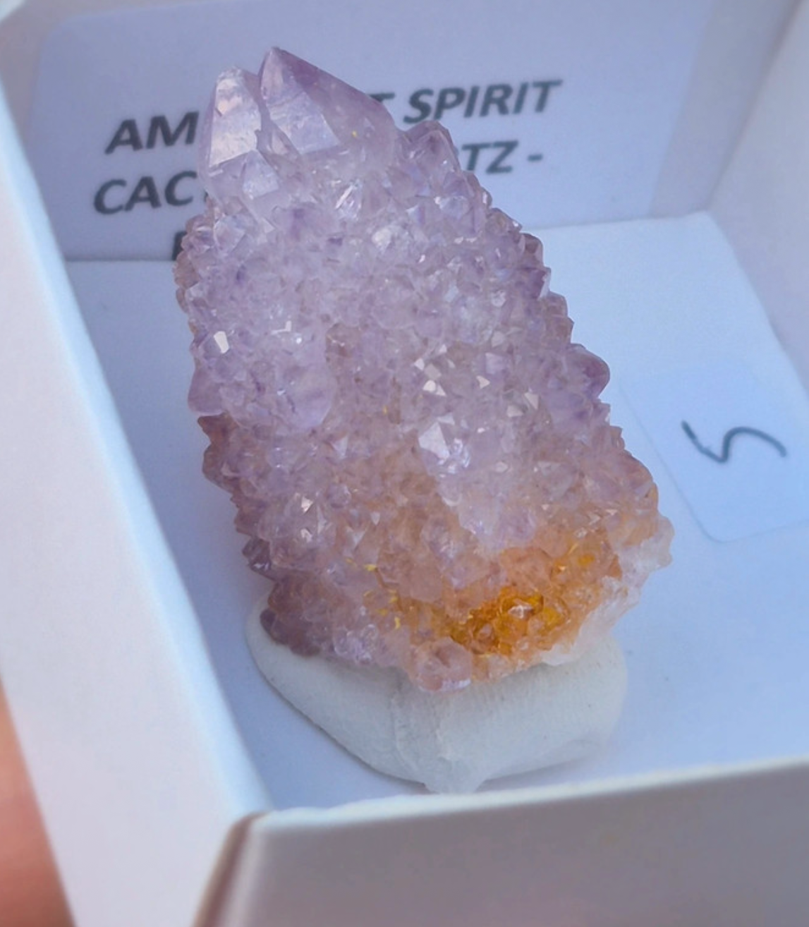 Amethyst Spirit Quartz – Cactus Quartz (Zuid-Afrika) – keuze uit 3 unieke exemplaren